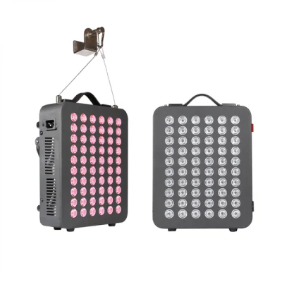 Rlttime Prezzo di fabbrica all'ingrosso Mini PRO Portatile 300W Uso domestico PDT Fotone facciale Pannello dispositivo per terapia della luce LED rossa